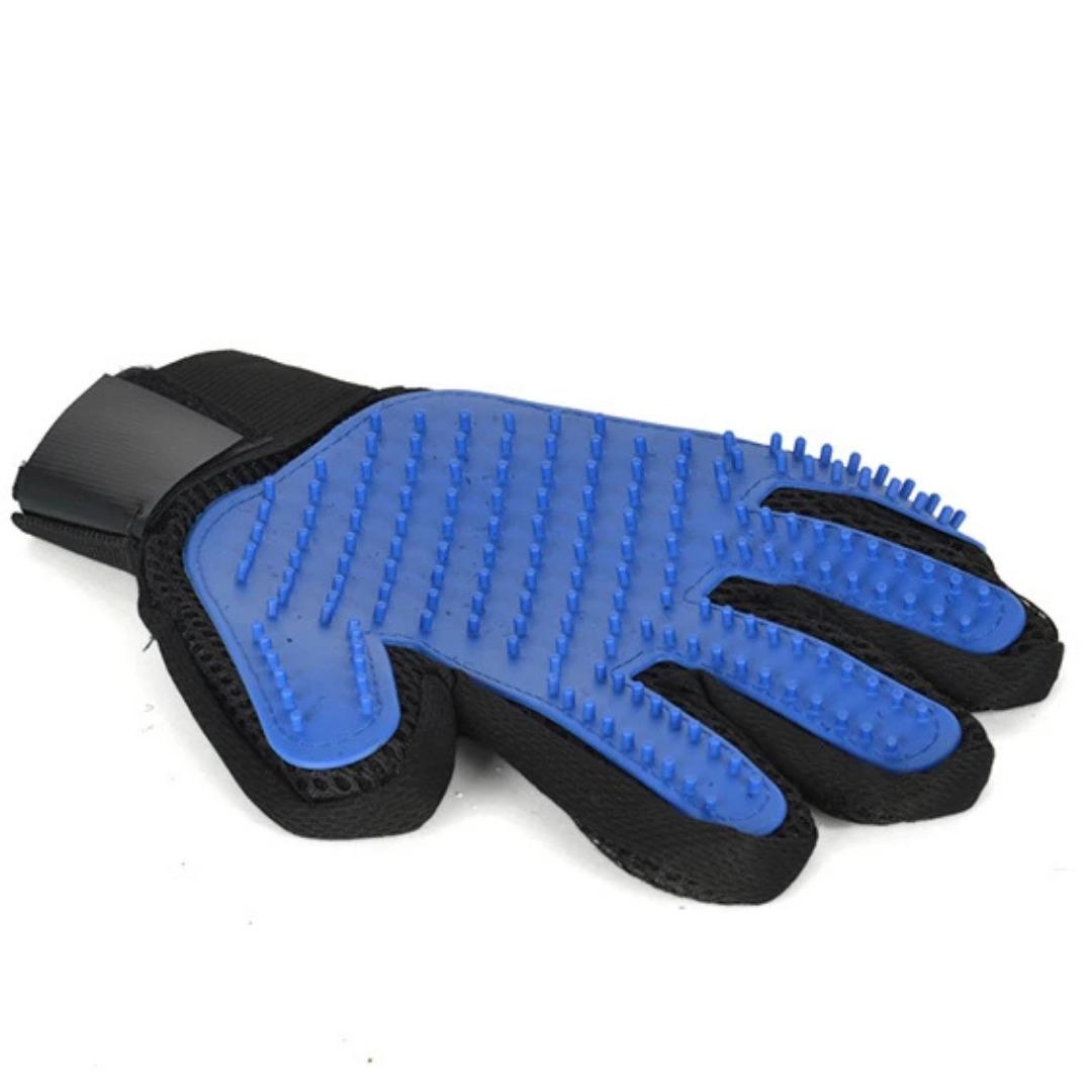 Ödül maması, oyuncak ve dahası… Petzzshop indirimi başladı 6