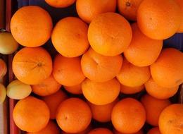 En çok ihracatı yapılan tarımsal ürünlerin sanal su miktarları hesaplandı