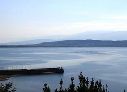 'Acil eylem planı' 8'i risk altında! Harekete geçildi