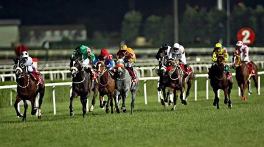 G&uuml;nl&uuml;k at yarışı tahminleri