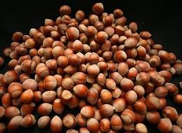 Fındık üreticisi taban fiyat beklentisinde: Gözler TMO ve yeni sezon alım fiyatlarında