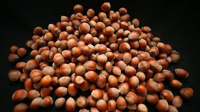 Fındık üreticisi taban fiyat beklentisinde: Gözler TMO ve yeni sezon alım fiyatlarında