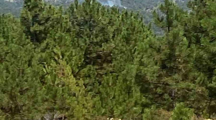 Denizli’de sarp arazide orman yangını başladı