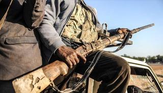 Nijerya'da terör örgütleri Boko Haram ve ISWAP'ın 17 militanı öldürüldü