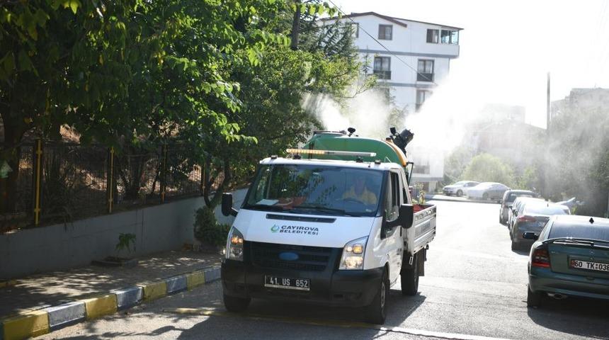 Kocaeli'nde yaz aylarında bulaşıcı hastalıklara karşı ilaçlamalı önlem: Mahalle mahalle geziyorlar