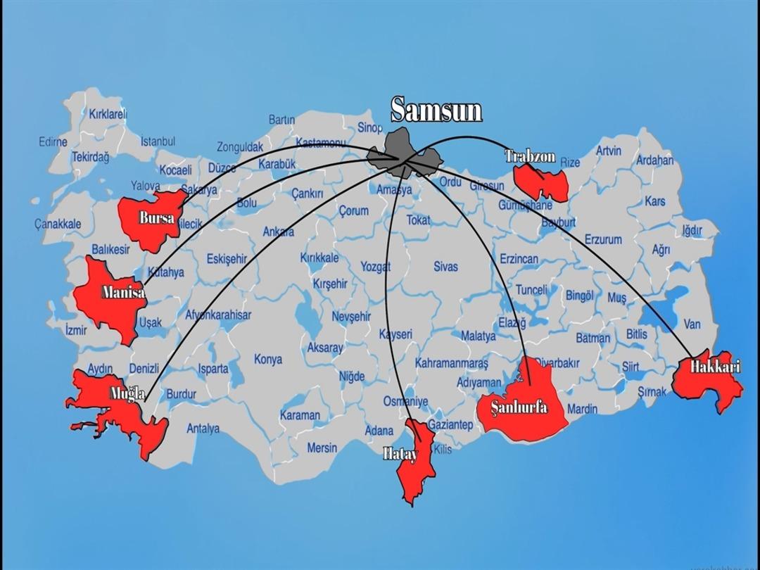 Samsun merkezli 8 ilde nitelikli dolandırıcılık operasyonu; 8 gözaltı 1