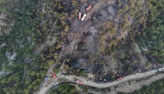 Orman yangınında zarar gören alanlar dronla görüntülendi