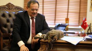 Samsun eski büyükşehir belediye başkanı Mustafa Demir hayatını kaybetti