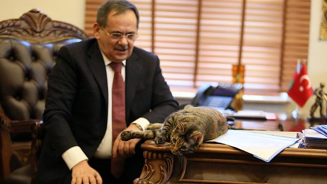 Samsun eski büyükşehir belediye başkanı Mustafa Demir hayatını kaybetti