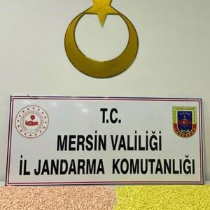 Son Dakika Haber Görseli