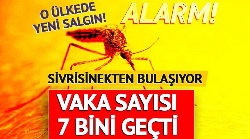 Çin’de yeni salgın! Sivrisinekten bulaşıyor, 7 binden fazla vaka var