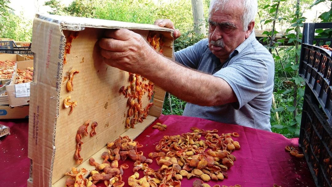  Bu sene çok şahane! Türkiye de yok ama burada...  Kilosunu 300 TL ye satıyorlar 6