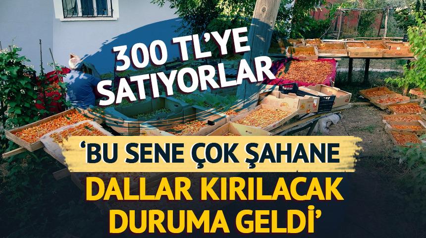 'Bu sene çok şahane! Türkiye'de yok ama burada...' Kilosunu 300 TL'ye satıyorlar