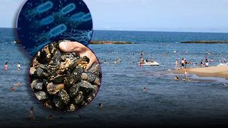 Yaz aylarının korkulu rüyası! Denizler alarm veriyor: 'Et yiyen bakteri' kabusu...