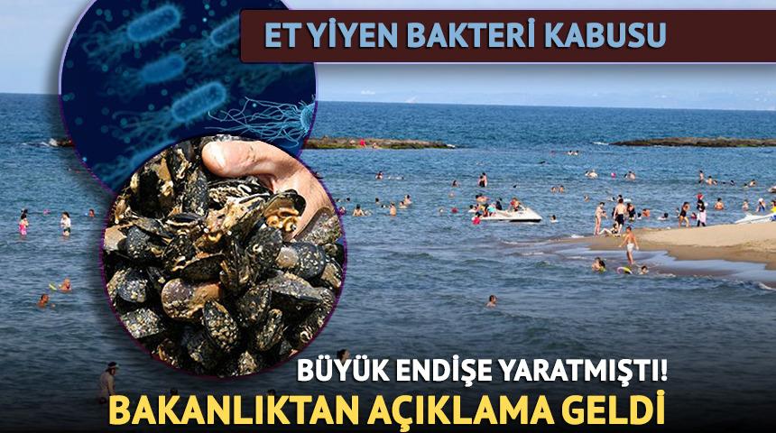 Yaz aylarının korkulu rüyası! 'Et yiyen bakteri' kabusu...
