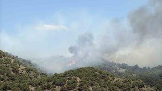Tokat’ın Erbaa ilçesinde çıkan orman yangınına müdahale ediliyor