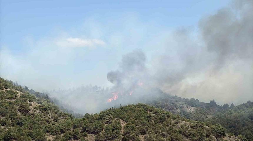 Tokat’ın Erbaa ilçesinde çıkan orman yangınına müdahale ediliyor