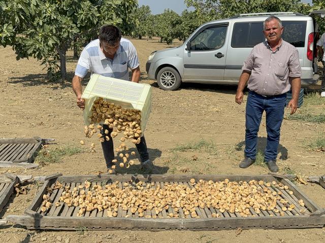 Kilosu 400 TL'den satıldı! 100 kilo getirdi... 