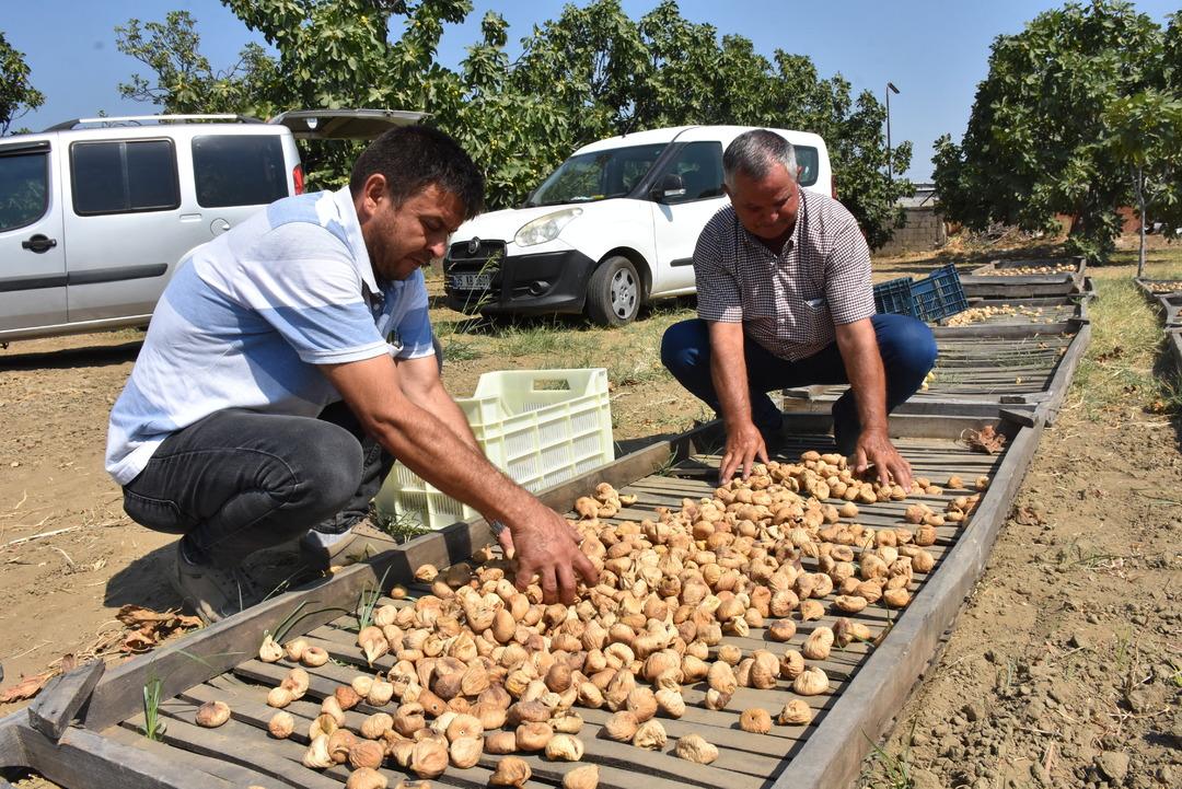 Kilosu 400 TL den satıldı! 100 kilo getirdi...  1