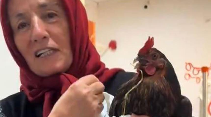 Boğazına iğne kaçan tavuğu için hastanede röntgen talebinde bulundu