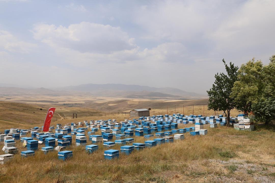 Kadınlar bir bir o işe yöneliyor! Üretim her yıl artıyor 4