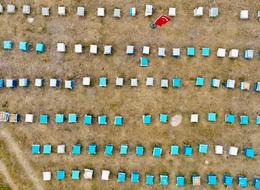 Kadınlar bir bir o işe yöneliyor! Üretim her yıl artıyor