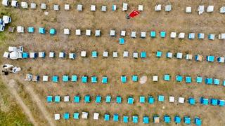 Kadınlar bir bir o işe yöneliyor! Üretim her yıl artıyor