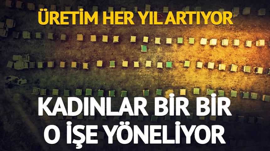 Kadınlar bir bir o işe yöneliyor! Üretim her yıl artıyor