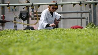 TAGEM 20. AR-GE Proje Çağrısı'na başvurular başladı