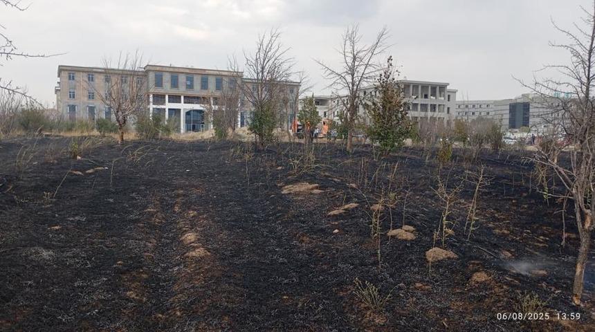 Van Yüzüncü Yıl Üniversitesi kampüsünde arazi yangını