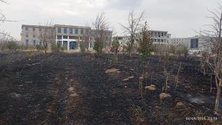 Van Yüzüncü Yıl Üniversitesi kampüsünde arazi yangını