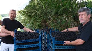 Ana üs: Bursa kilosu 130 TL! 'Kaliteyi yakaladık ama...'