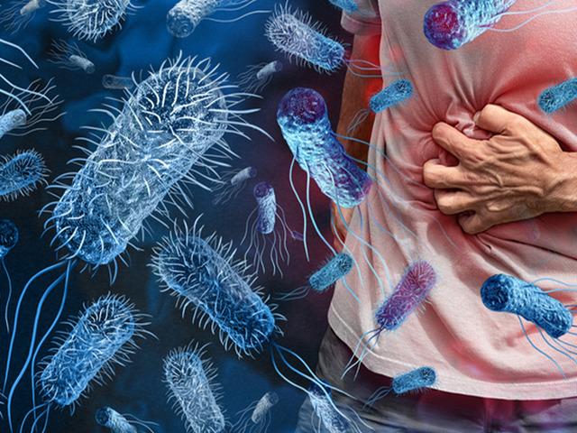 Bakanlık'tan 'vibrio bakterisi' açıklaması