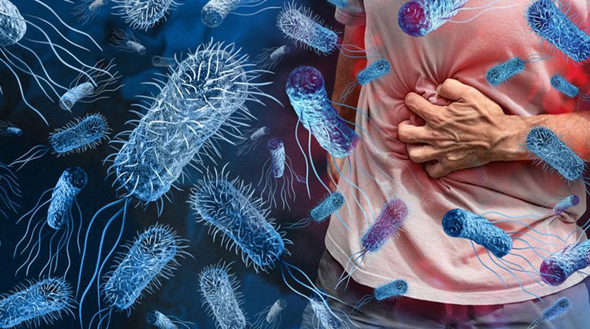 Sağlık Bakanlığı açıklama yaptı: Türkiye'de vibrio kaynaklı hastalık var mı? Vibrio bakterisi nedir?