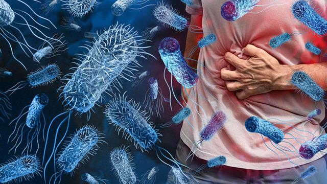 Sağlık Bakanlığı açıklama yaptı: Türkiye'de vibrio kaynaklı hastalık var mı? Vibrio bakterisi nedir?