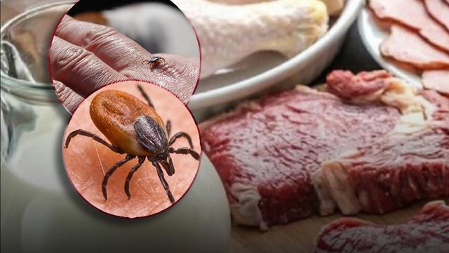 Doktorlar bile tanımakta zorlanıyor! Dünya genelinde hızla yayılıyor: Gıdalarda da var...