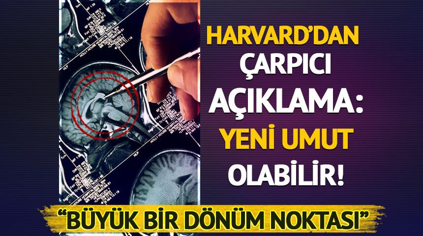 Harvard’dan araştırma: "Dönüm noktası olabilir" 