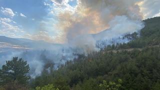 Son dakika | Karabük'te yeniden alevler yükseliyor: Ormanlık alanda yangın hızla büyüdü! İşte ilk kareler