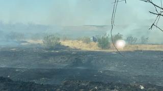 Batman’da anız yangınında 100 dönüm alan zarar gördü