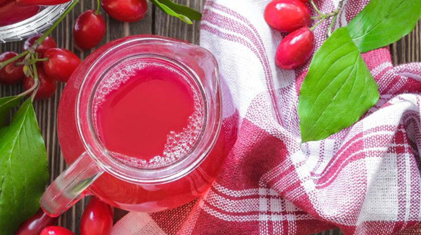 Doğal şifa deposu kızılcık hasadı başladı! Şerbeti, çayı, meyvesi oluyor: Faydaları saymakla bitmez...