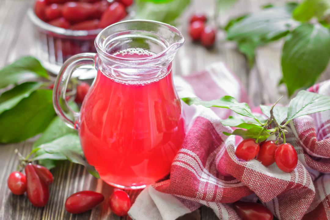 Doğal şifa deposu kızılcık hasadı başladı! Şerbeti, çayı, meyvesi oluyor: Faydaları saymakla bitmez... 1