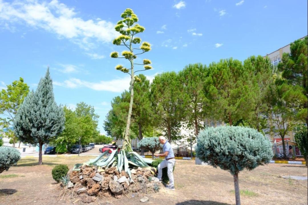 Tam 20 yıldır bekliyordu, sonunda oldu! 10 ila 30 yıl arasında yaşıyor... 1