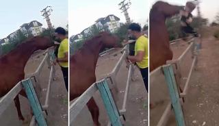 At babasının kucağındaki çocuğu ısırarak alıp havaya fırlattı! Korkunç dakikalar kameralara yansıdı