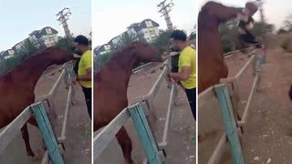 At babasının kucağındaki çocuğu ısırarak alıp havaya fırlattı! Korkunç dakikalar kameralara yansıdı