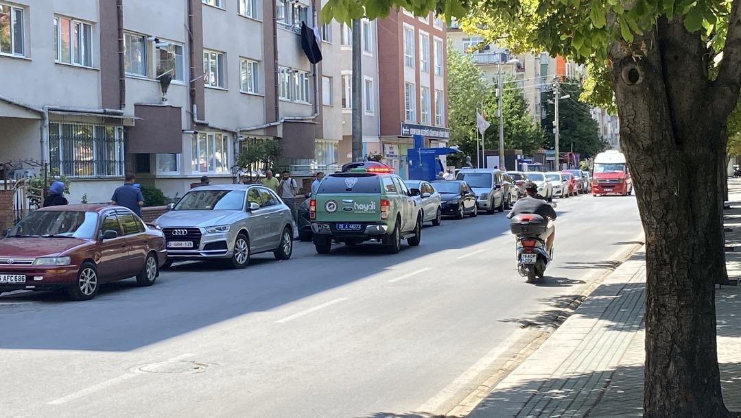 Eskişehir de esrarengiz olay: Farklı noktalarda ölü kediler bulundu! Ekipler harekete geçti 3