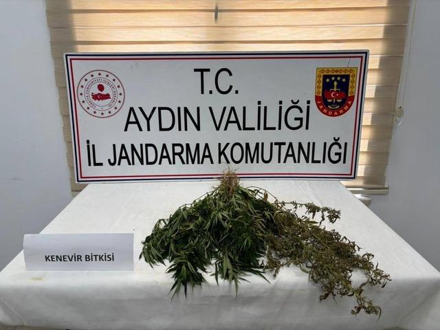 Aydın’da uyuşturucu operasyonu: 13 şüpheli yakalandı 1