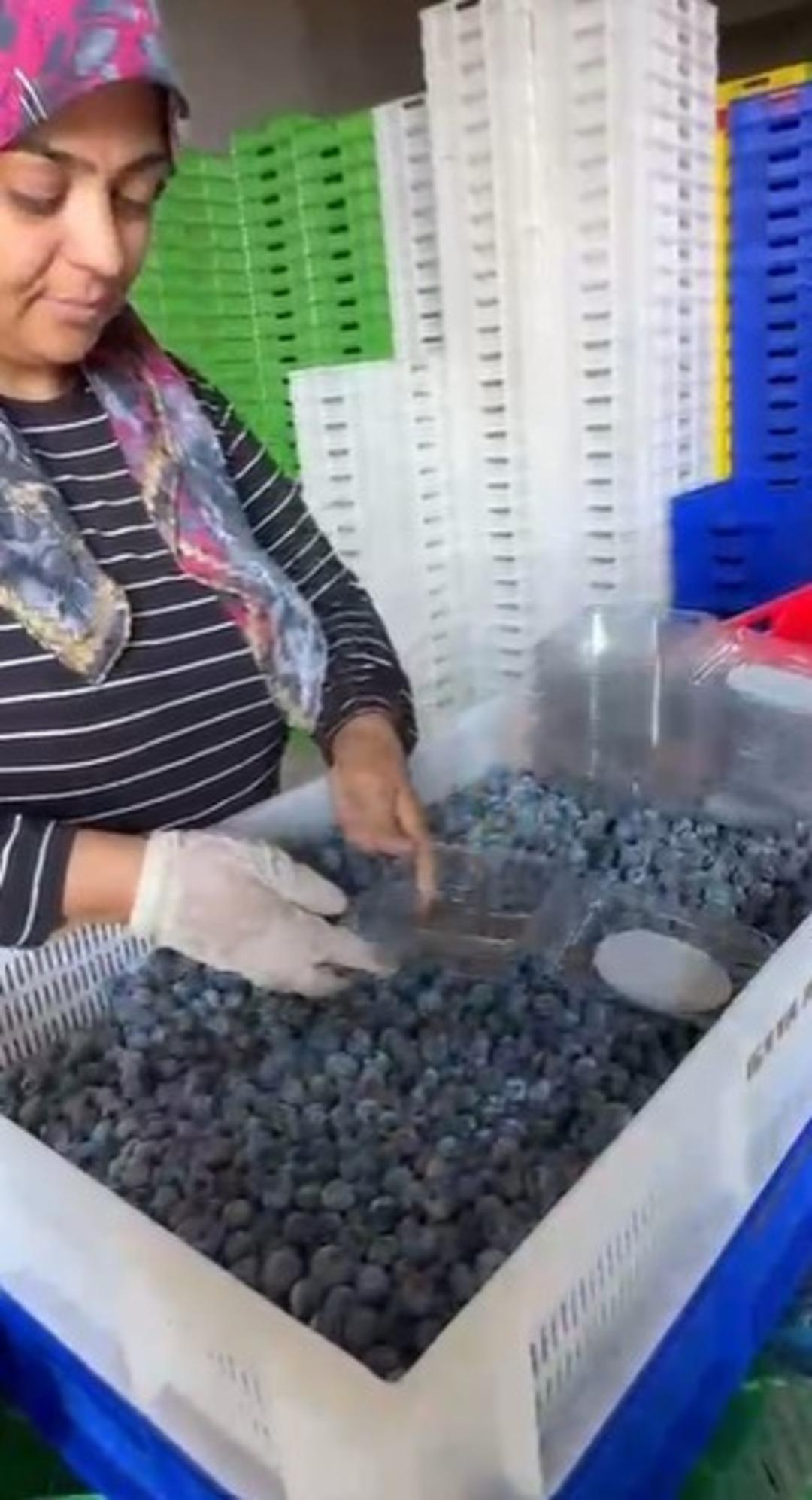 Denemek için başladı şimdi dünyaya satıyor!  Furya değil, modası geçmeyecek  1