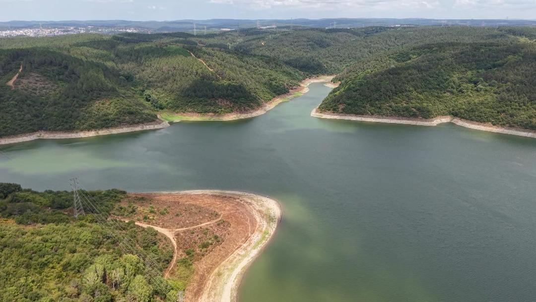 İstanbul un içme suyu tehdit altında: Su içip, ölen hayvanlar var! 3