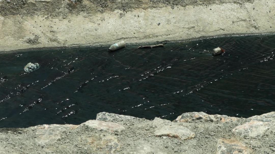 İstanbul un içme suyu tehdit altında: Su içip, ölen hayvanlar var! 6