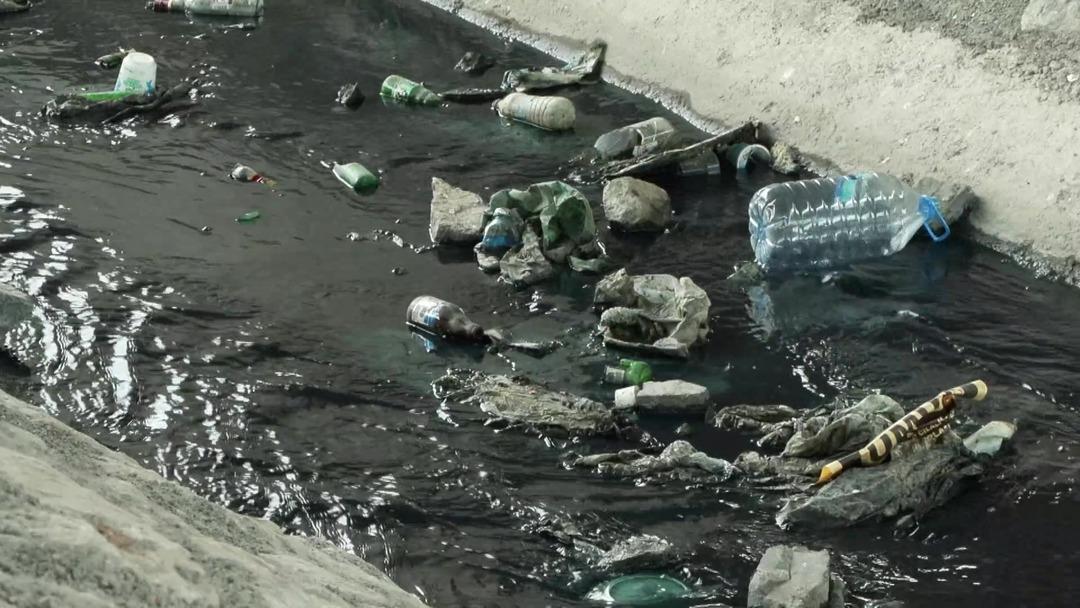 İstanbul un içme suyu tehdit altında: Su içip, ölen hayvanlar var! 5